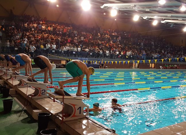 Nagymedencés kis úszók