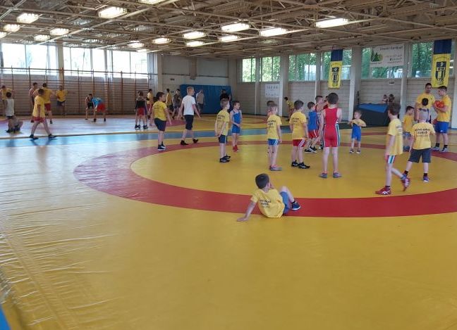 Újra a szőnyegen a birkózók