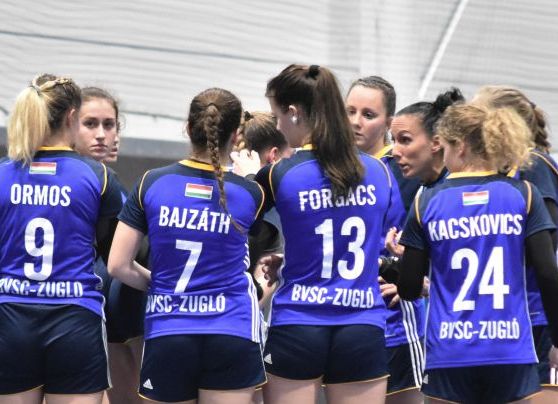 HIVATALOS KÖZLEMÉNY