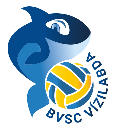 bvscvizilabda